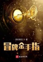 冒牌金手指原初意志