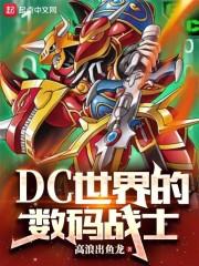 混迹在dc世界的数码战士