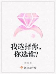 我选择了你你选择了我是什么歌名