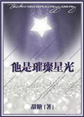 他是璀璨星光45章