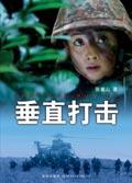 垂直打击电视剧全集在线观看