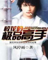 校花的极品高手后续