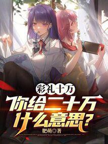 你给二十万什么意思呢