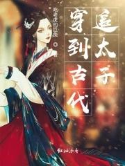 穿越古代成为太子的