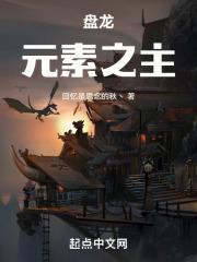 盘龙之圆满上