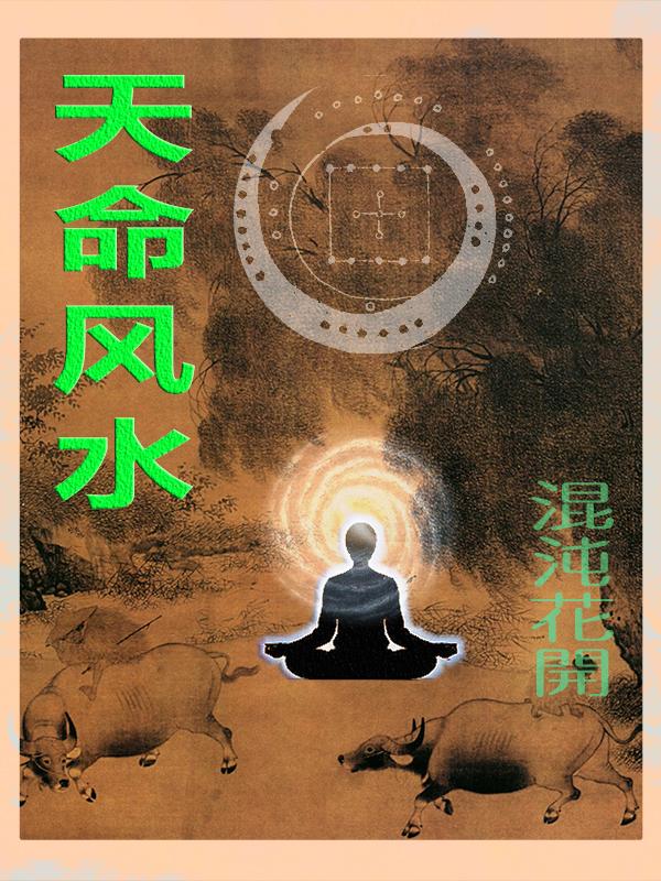 天命风水师皮剑青