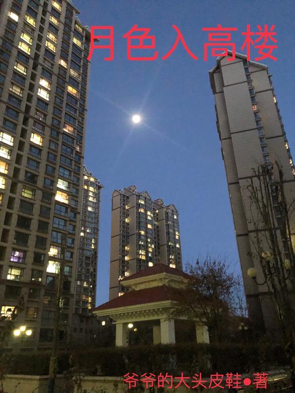 月色入高楼打一正确生肖