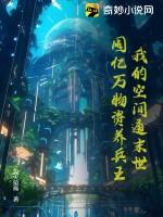 空间囤满物资穿越年代文免费阅读全文