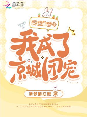 瓷碗通古今我成了京城团宠