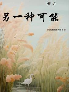 另一种可能二刀