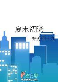 夏未初是什么意思