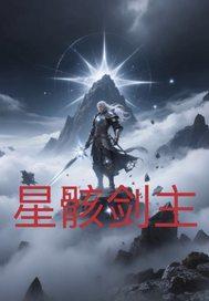 星骸骑士百度百科人物