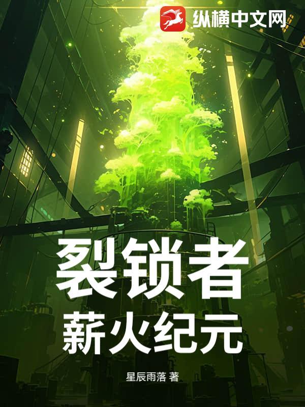 裂锁者薪火纪元评分