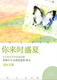 你来时盛夏免费阅读
