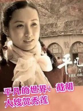 平凡的世界贺秀莲事迹