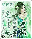 穿越之王爷老公