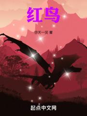 红鸟蕉花语