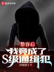 整容后,我竟成了S级通缉犯