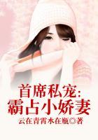 首席私宠:霸占小娇妻