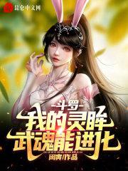 斗罗:我的灵眸武魂能进化