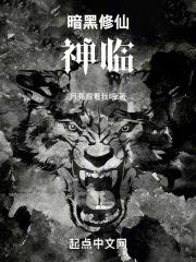 暗黑修仙:神临