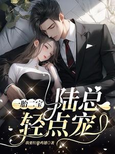 一胎二宝,陆总轻点宠