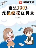 重生2002:我是校花白月光