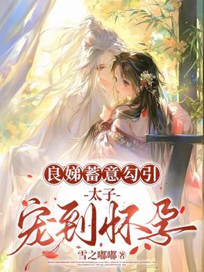 良娣蓄意勾引,太子宠到怀孕