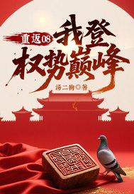 重返08：我登权势巅峰