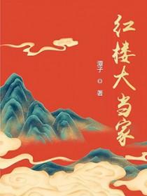 [红楼梦同人] 红楼大当家