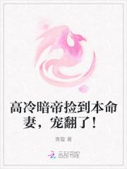 高冷暗帝捡到本命妻,宠翻了!