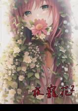 夜宠花2