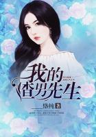 我的渣男先生