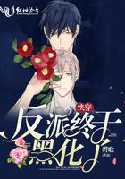 快穿:反派终于黑化了